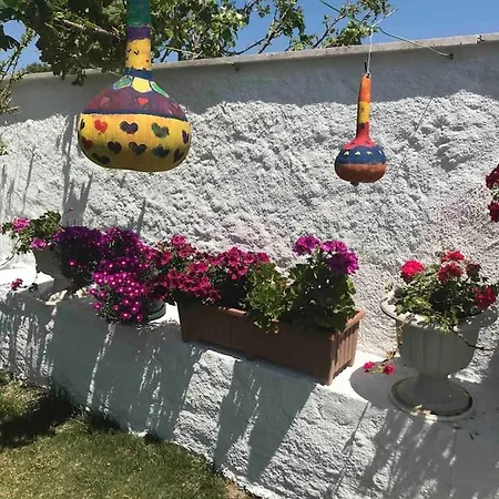 Hotel Luex Havuzlu *