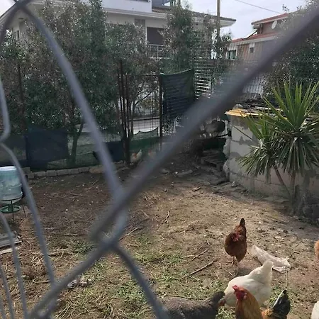 Luex Havuzlu