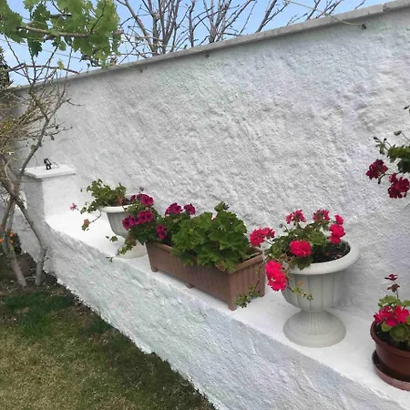 Luex Havuzlu Hotel Çeşme